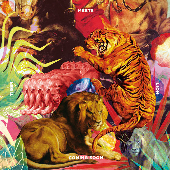 Tiger Meets Lion - CD