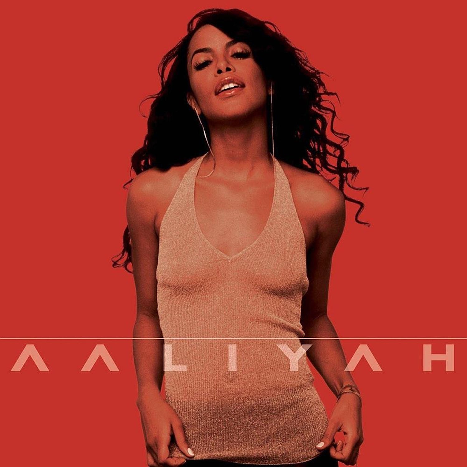 Aaliyah 1 Paint by Numbers Kit – PaintAndUnwine