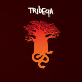 Tribeqa - CD